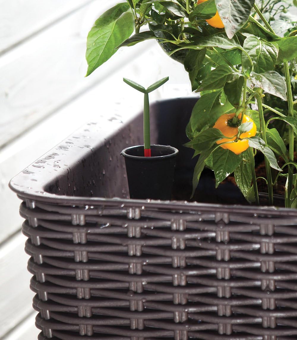 Keter Easy Grow Planter- Brown