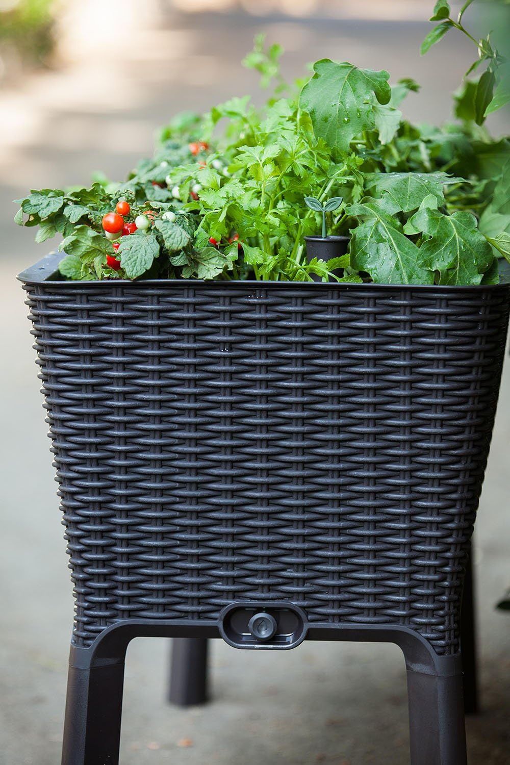 Keter Easy Grow Planter- Brown