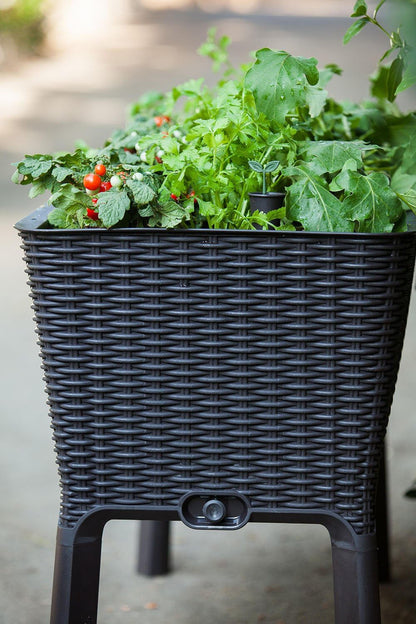 Keter Easy Grow Planter- Brown