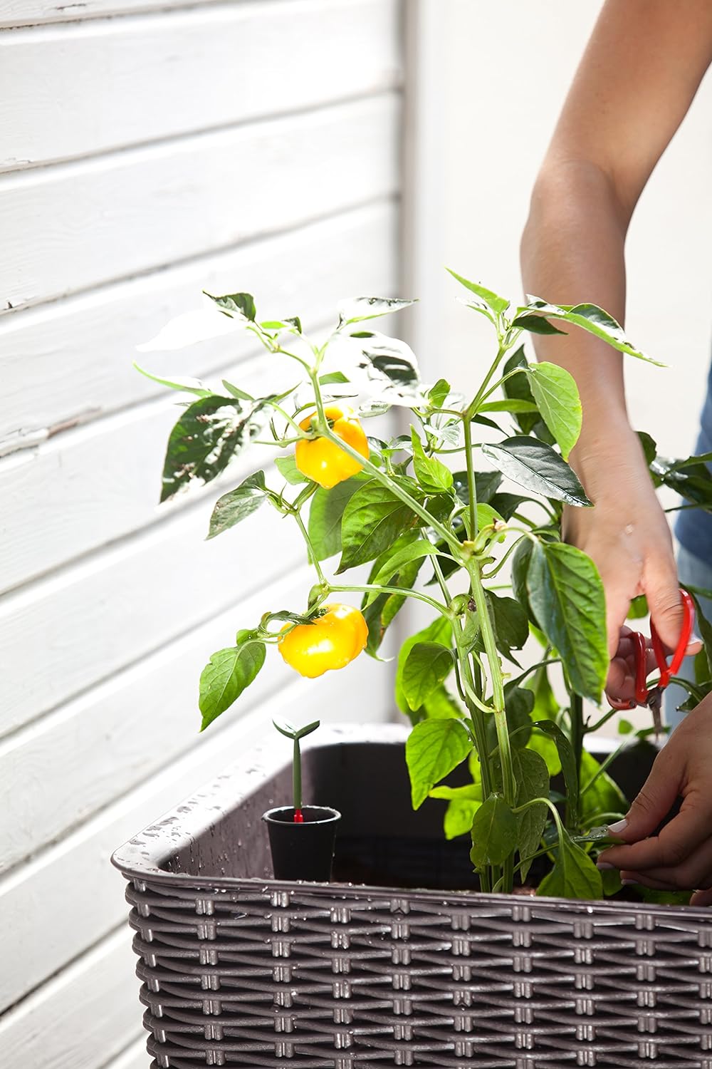 Keter Easy Grow Planter- Brown