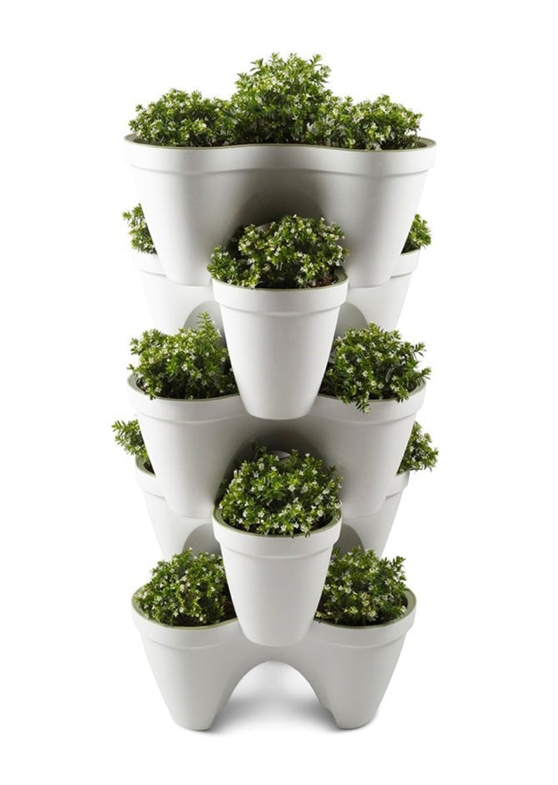 Keter Ivy Planter - White / Green