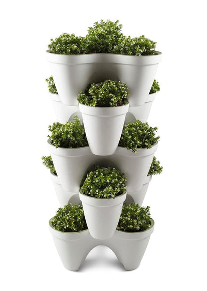 Keter Ivy Planter - White / Green