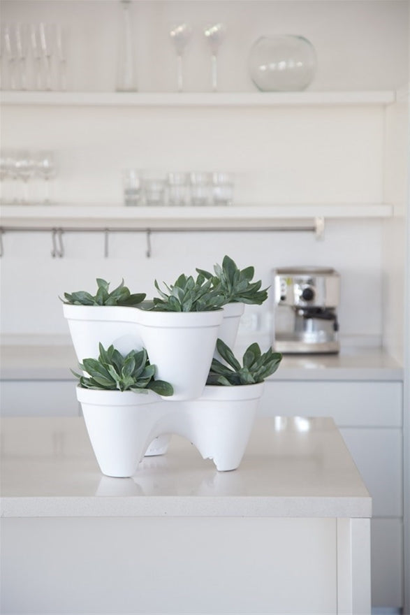 Keter Ivy Planter - White / Green
