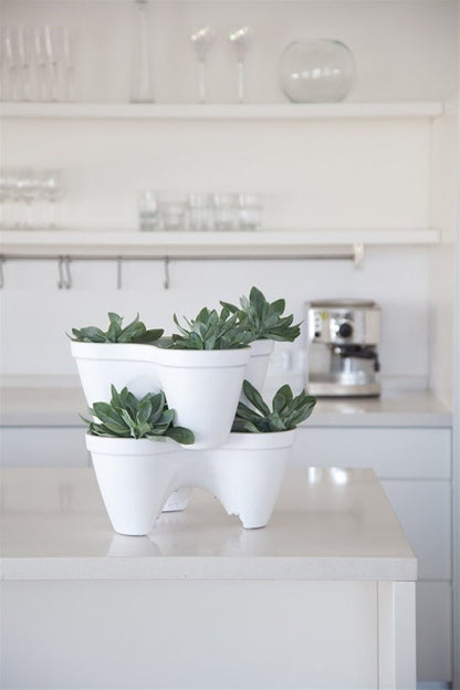 Keter Ivy Planter - White / Green