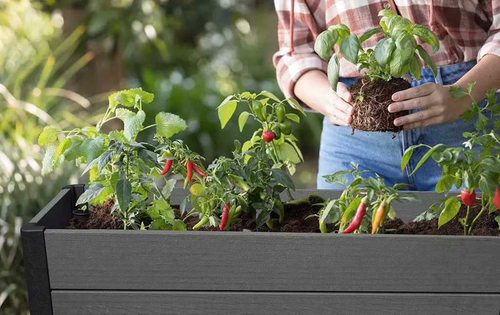 PRE ORDER: NOV. - Keter Darwin Raised Garden Bed - Grey