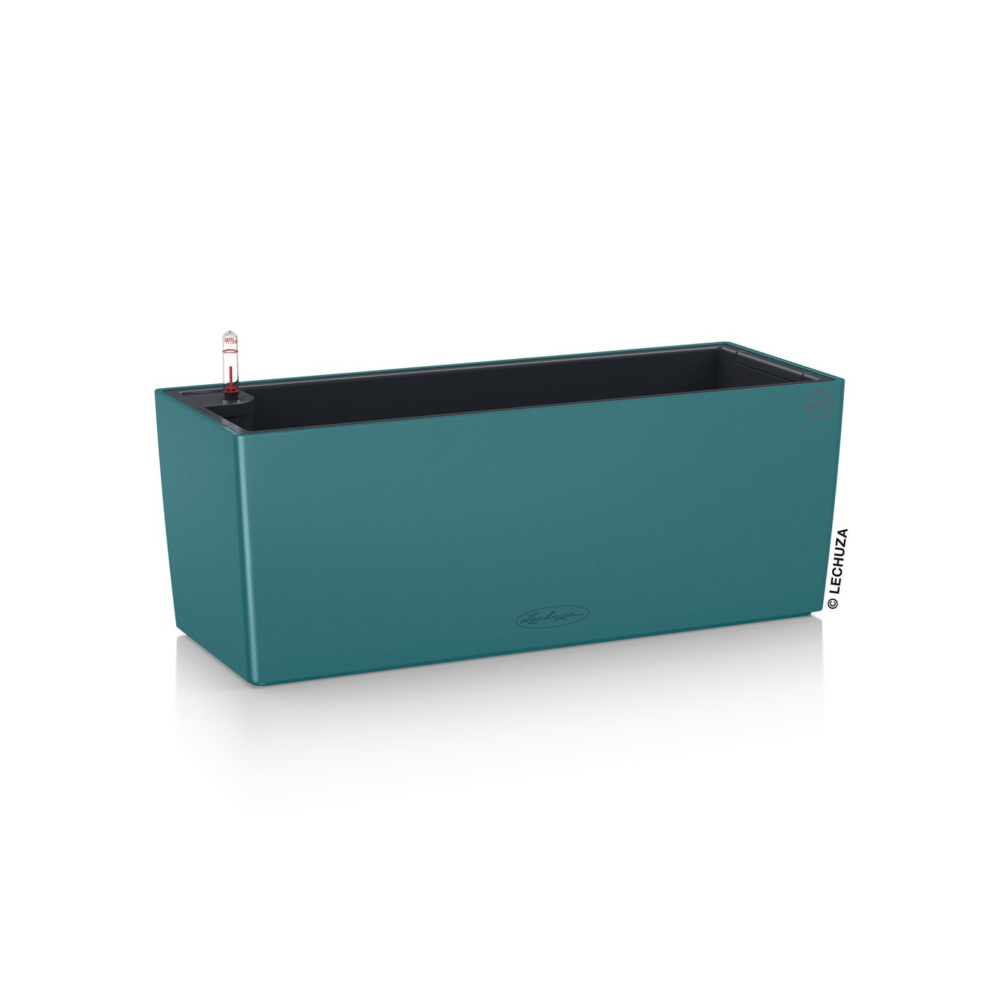 PRE ORDER: OCT. - BALCONERA Color 50