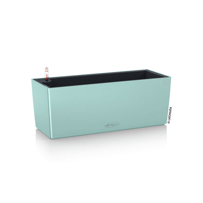 PRE ORDER: OCT. - BALCONERA Color 50