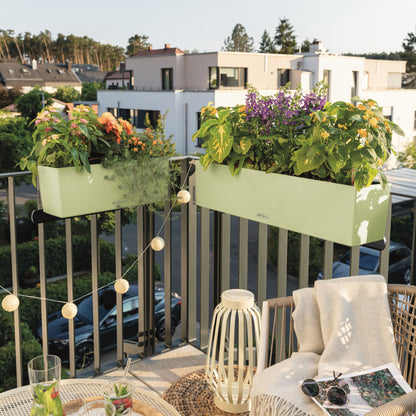 BALCONERA Color 80