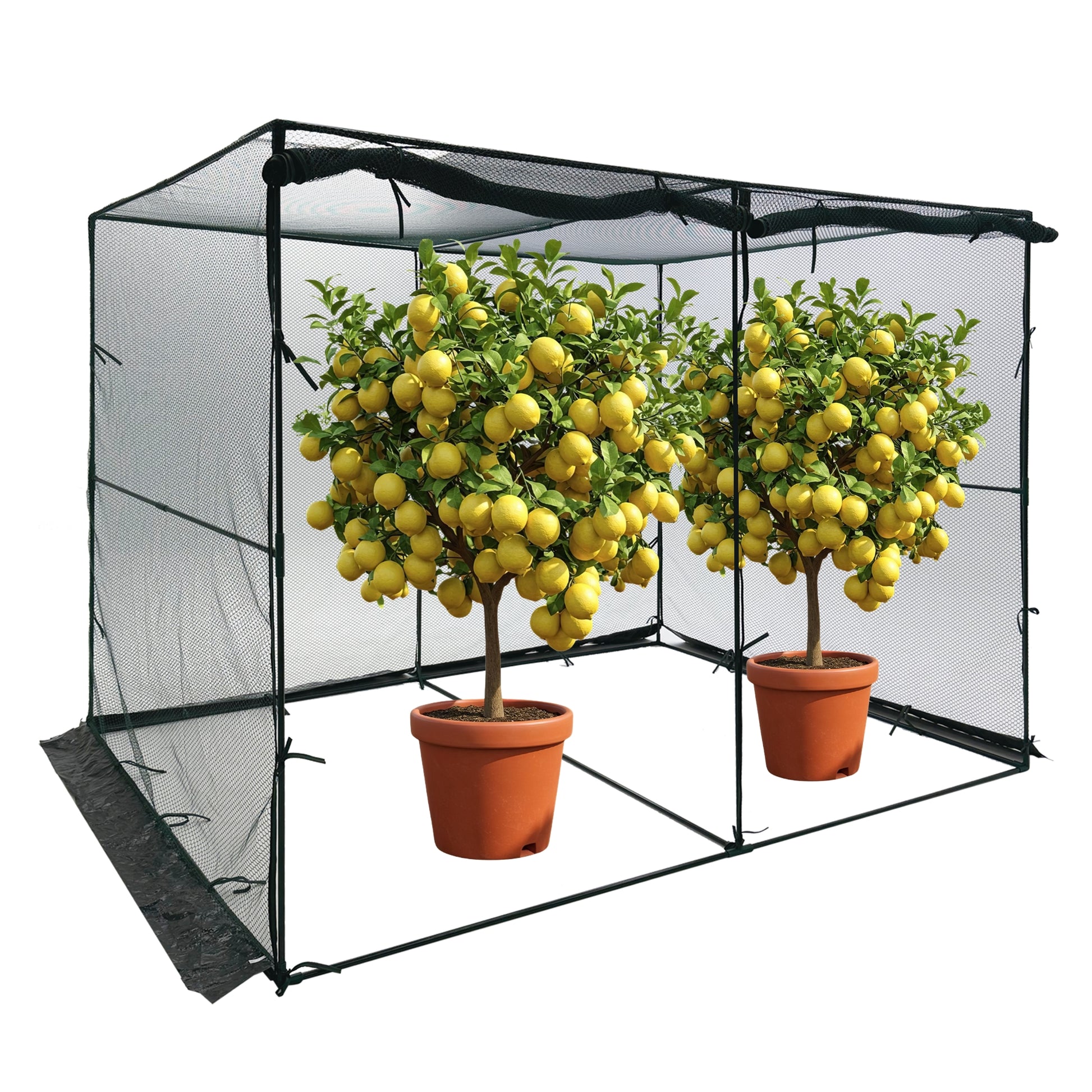 PRE ORDER: DEC. - BIG HOLE NET Crop Protection Cage - Large - mazeproducts