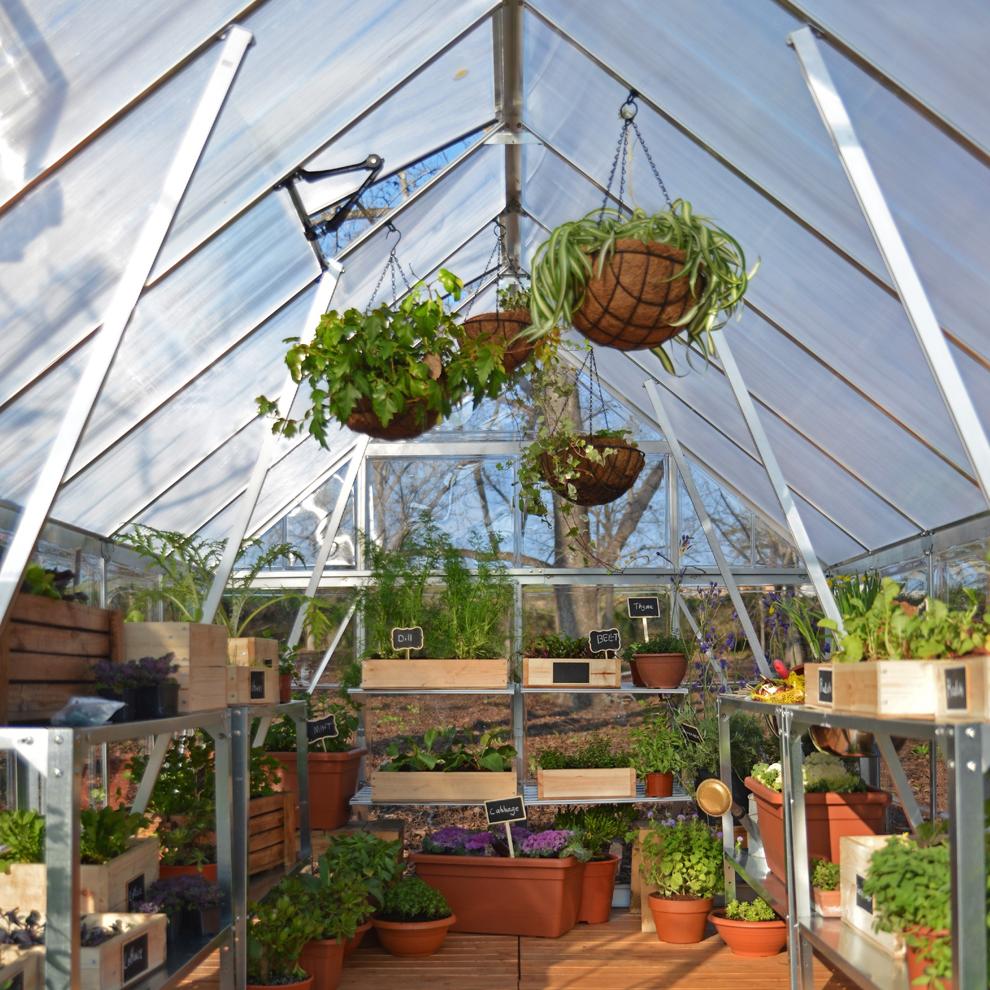 8' x 16' Balance Greenhouse