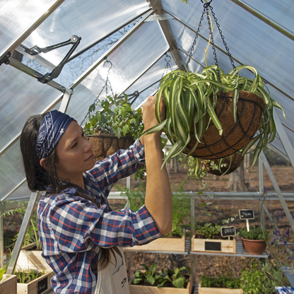 8' x 16' Balance Greenhouse