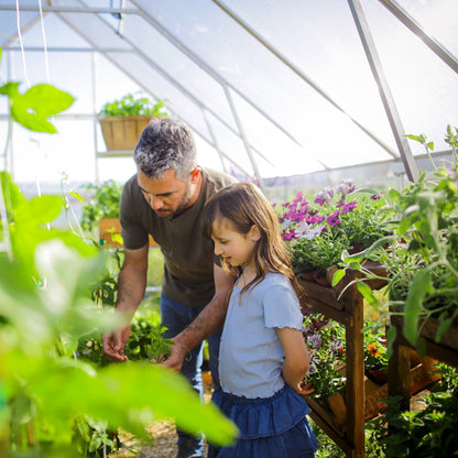 PRE ORDER MAY - 10' x 12' Balance Greenhouse