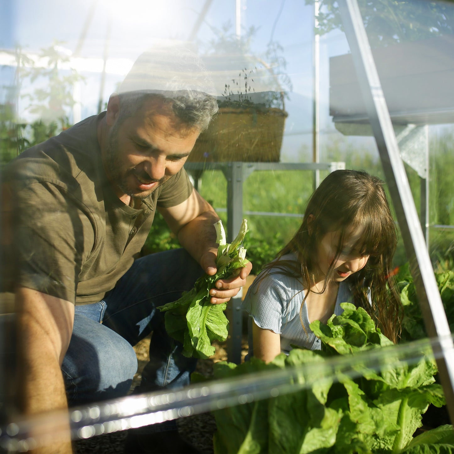 PRE ORDER MAY - 10' x 12' Balance Greenhouse