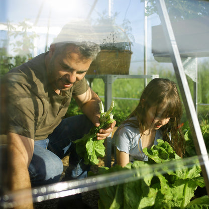 PRE ORDER MAY - 10' x 12' Balance Greenhouse