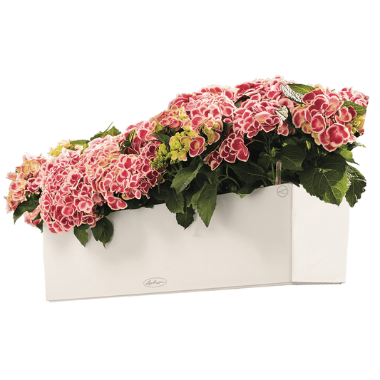 BALCONERA Color 80 - mazeproducts