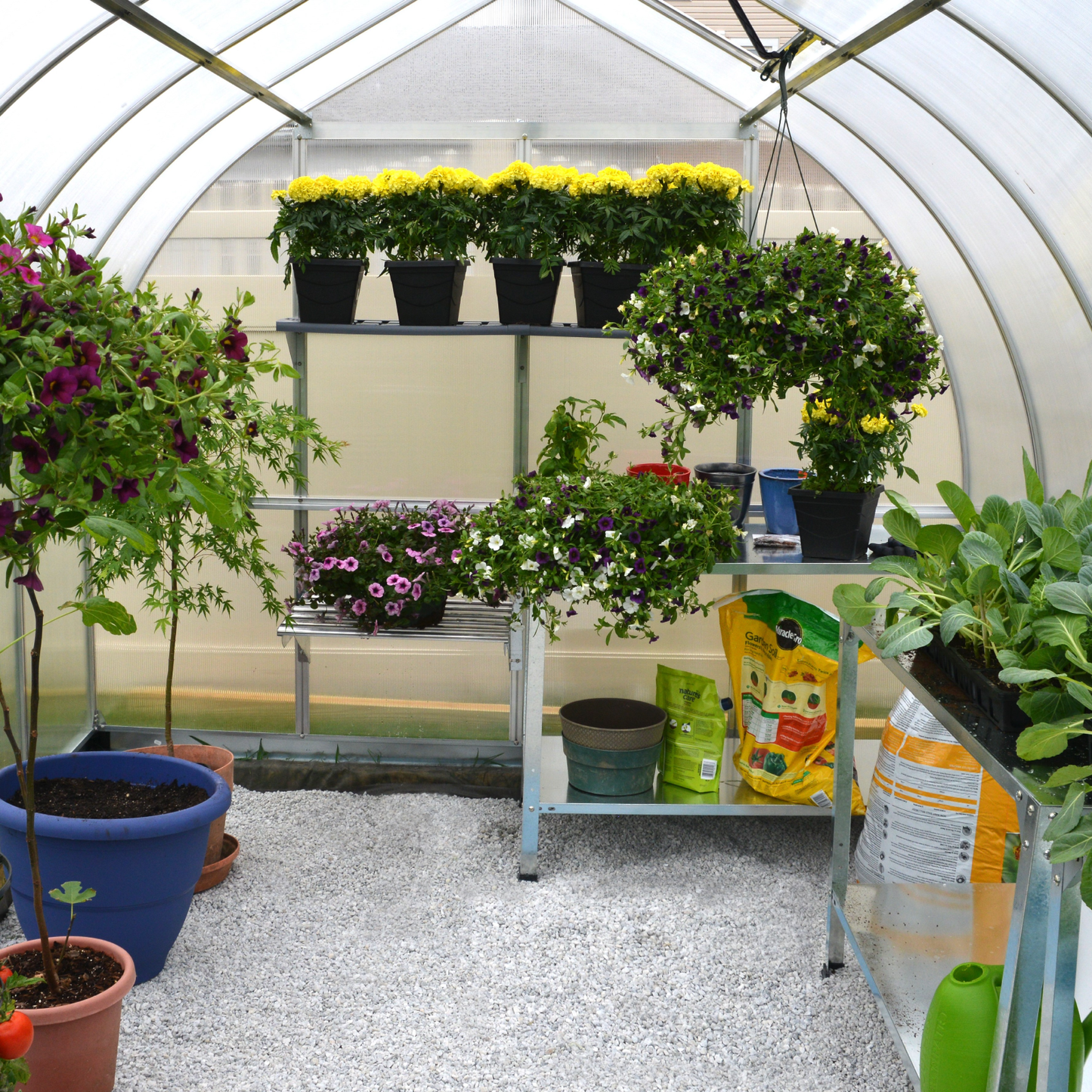 BELLA 8' x 8' Greenhouse