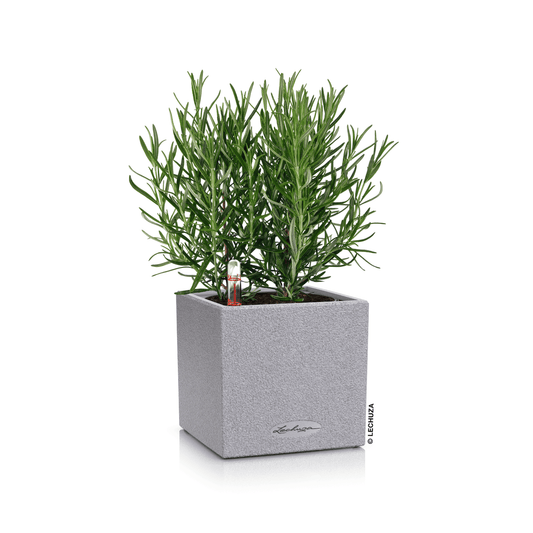 CANTO Stone 14 - mazeproducts