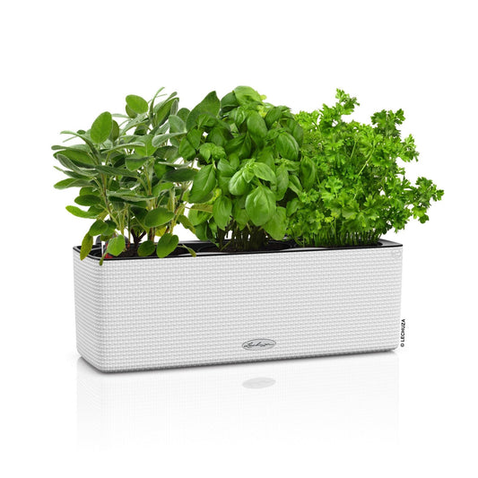 PURO CUBE Color Triple - mazeproducts