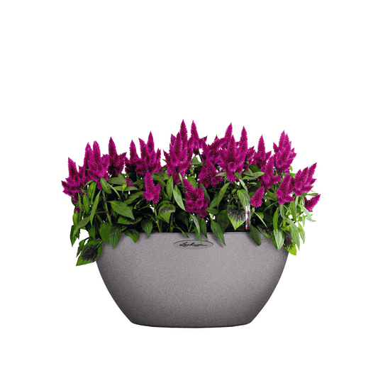 CUBETO Stone 30 Bowl - mazeproducts