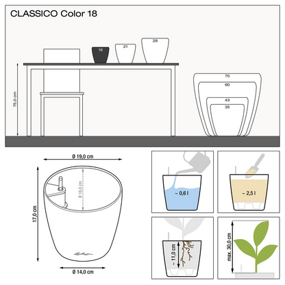 CLASSICO Color 18