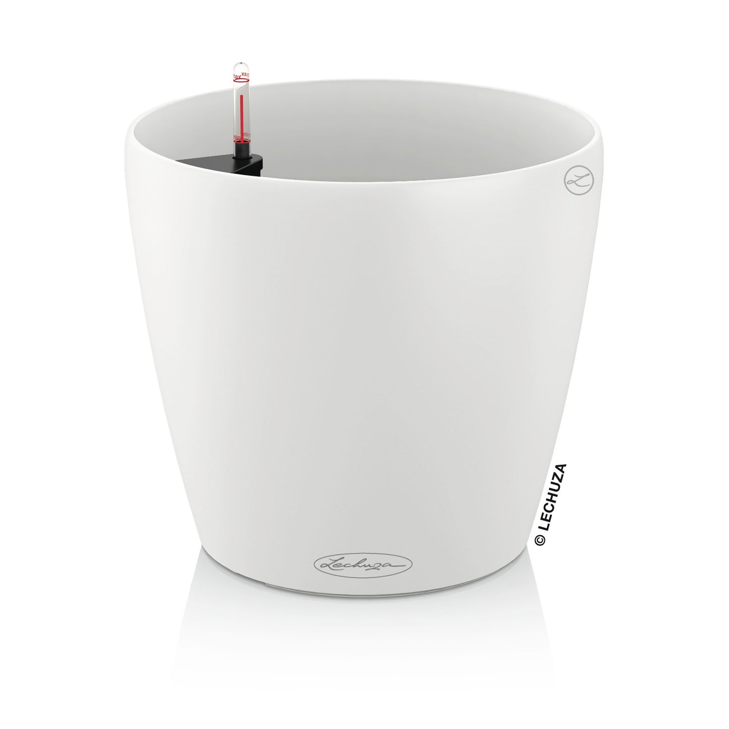 CLASSICO Color 43