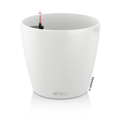 CLASSICO Color 43