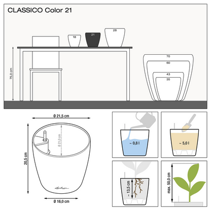 CLASSICO Color 21