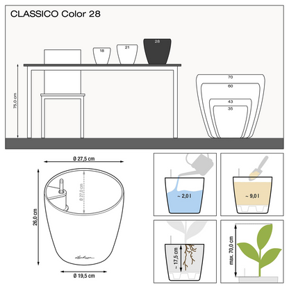 CLASSICO Color 28