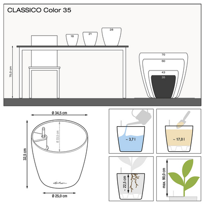 CLASSICO Color 35