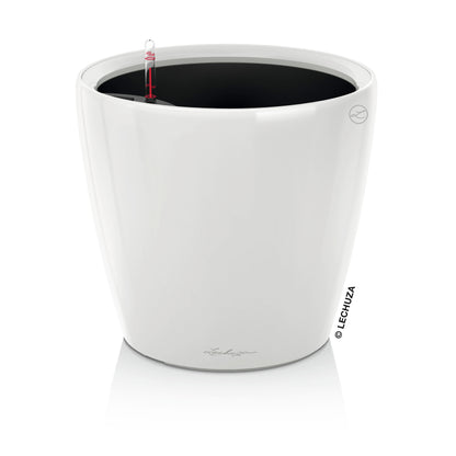 CLASSICO LS 21 Premium