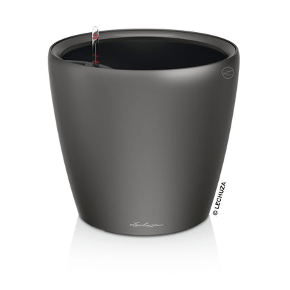 CLASSICO LS 43 Premium