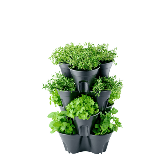 PRE ORDER: DEC. - Compact Stackable Planter 4 Pack - mazeproducts