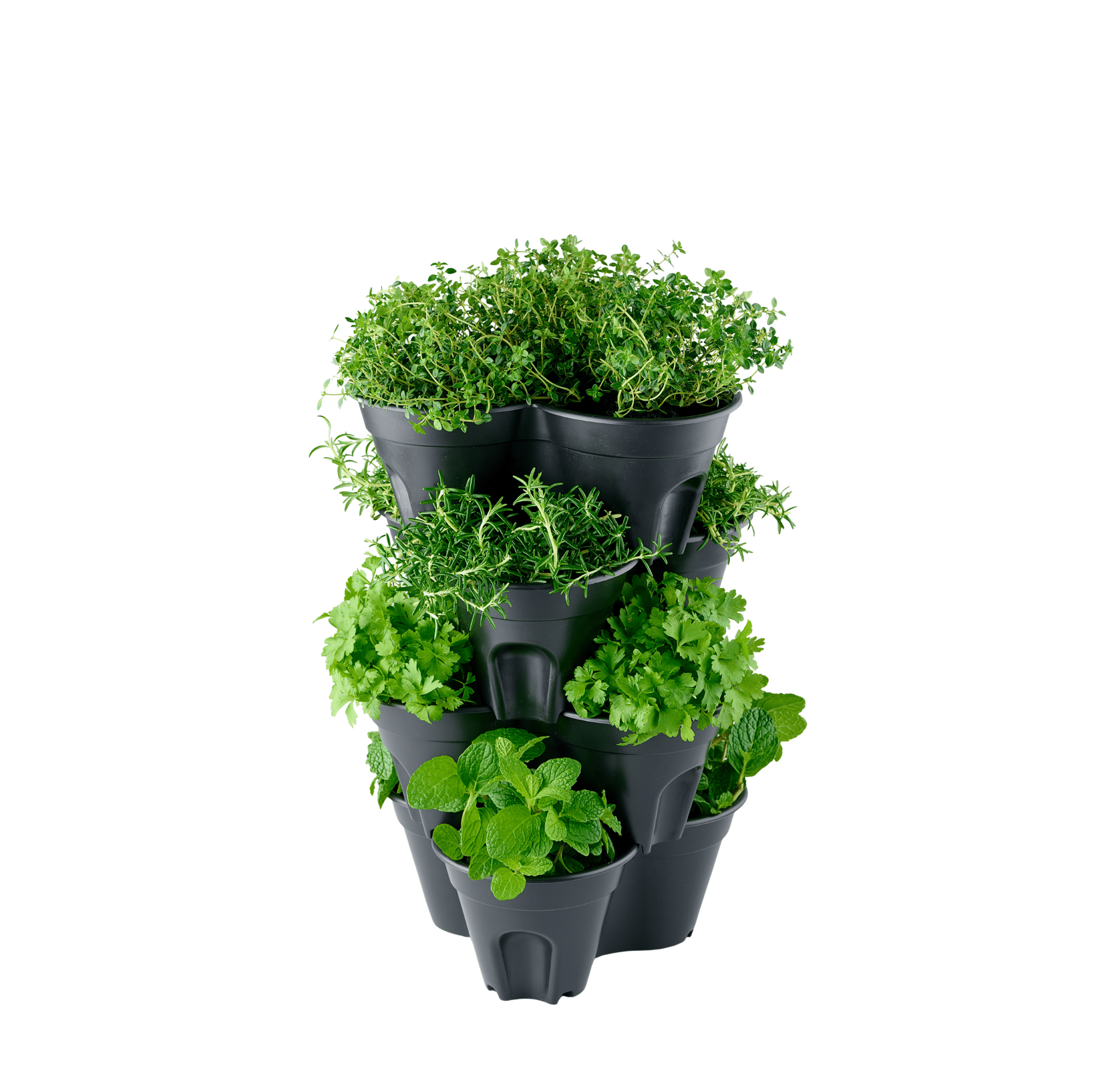 PRE ORDER: DEC. - Compact Stackable Planter 4 Pack - mazeproducts
