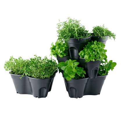 PRE ORDER: DEC. - Compact Stackable Planter 4 Pack - mazeproducts