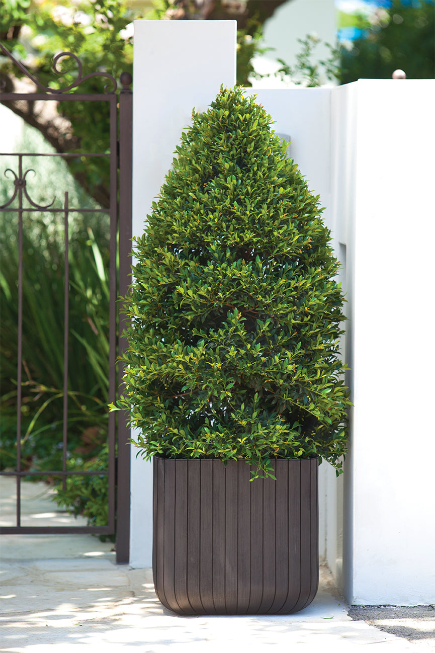 Keter Cube Planter - Brown (Small)