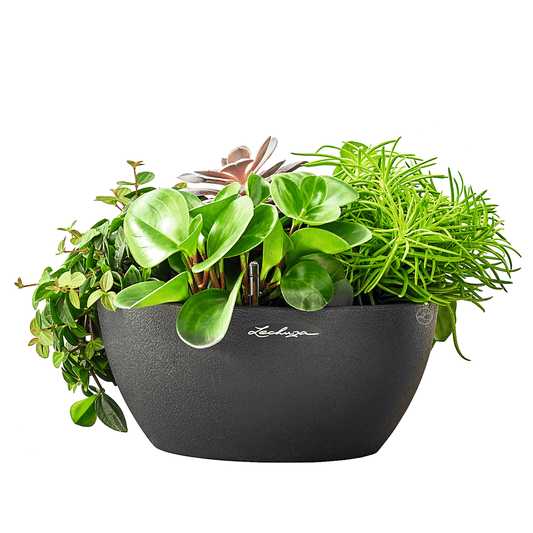 CUBETO Stone 40 Bowl - mazeproducts