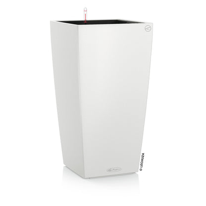 CUBICO Color 40