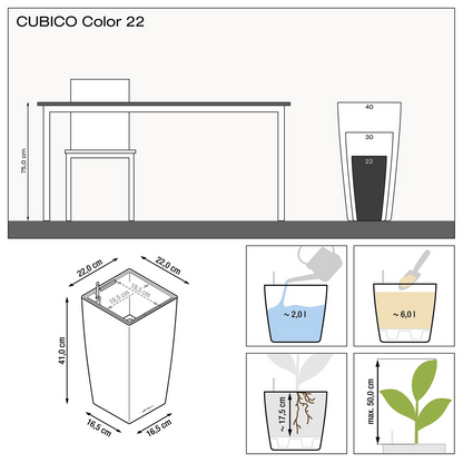 CUBICO Color 22