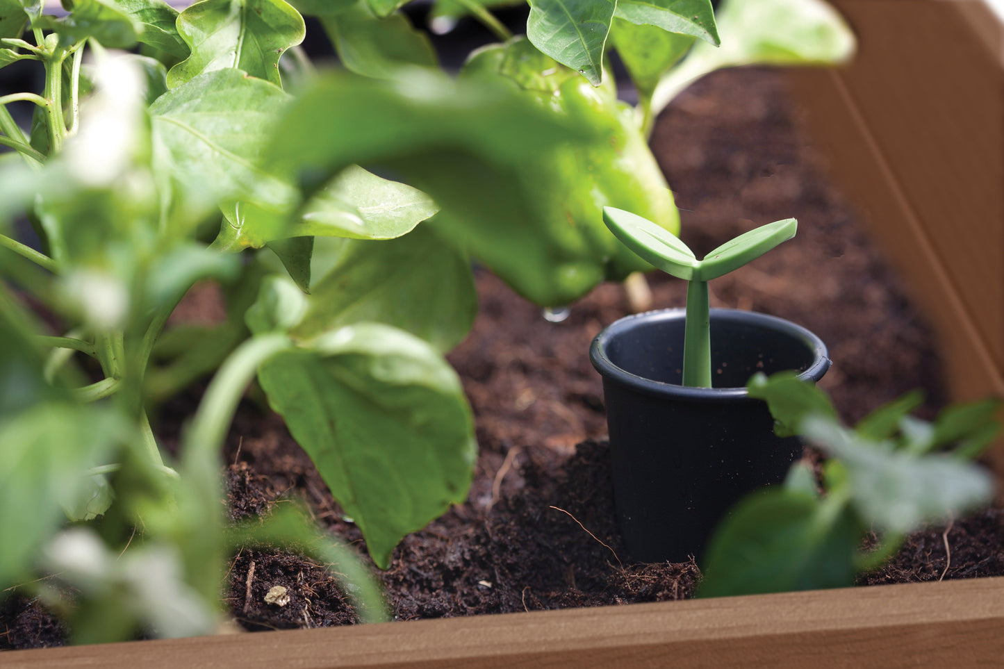 PRE ORDER: NOV. - Keter Signature Elevated Garden Bed - Walnut Look