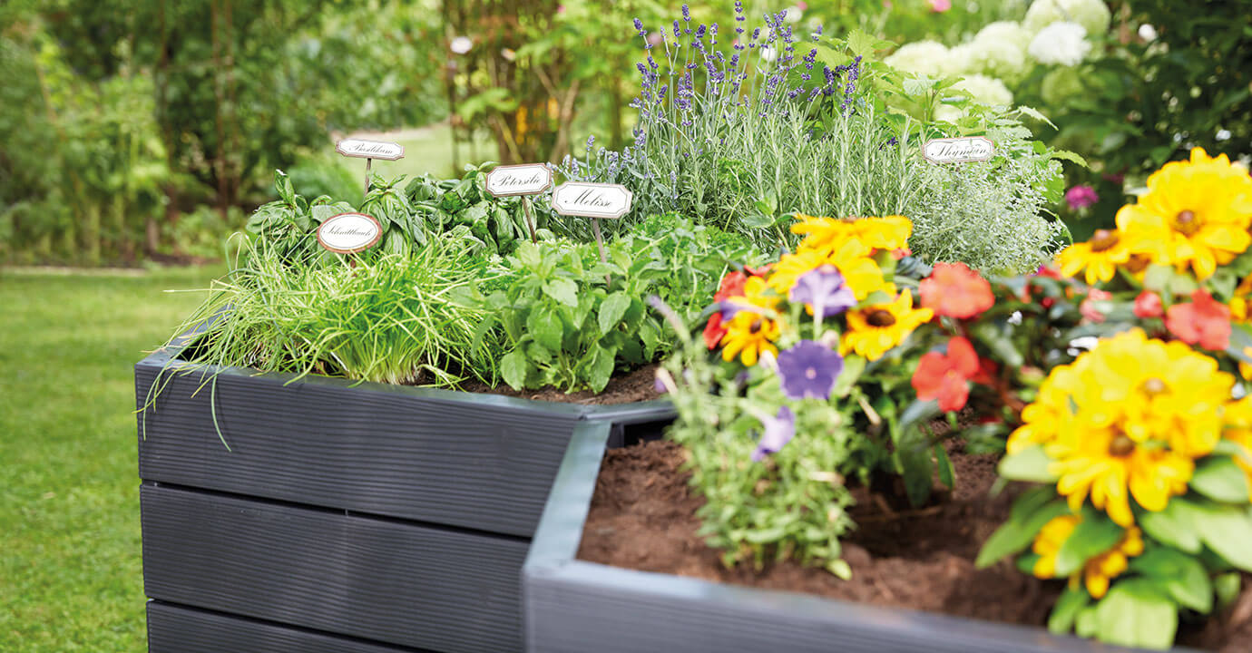 Hex ERGO Raised GARDEN Bed