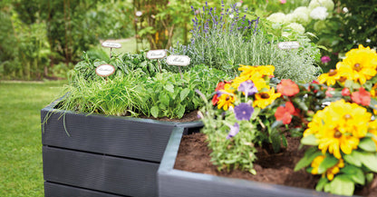 Hex ERGO Raised GARDEN Bed