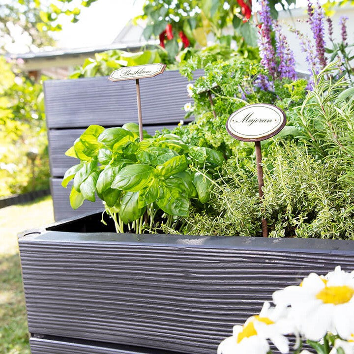 PRE ORDER MAY - ERGO Quadro Raised Garden Bed - SMALL