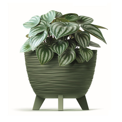 Furu Planter 300