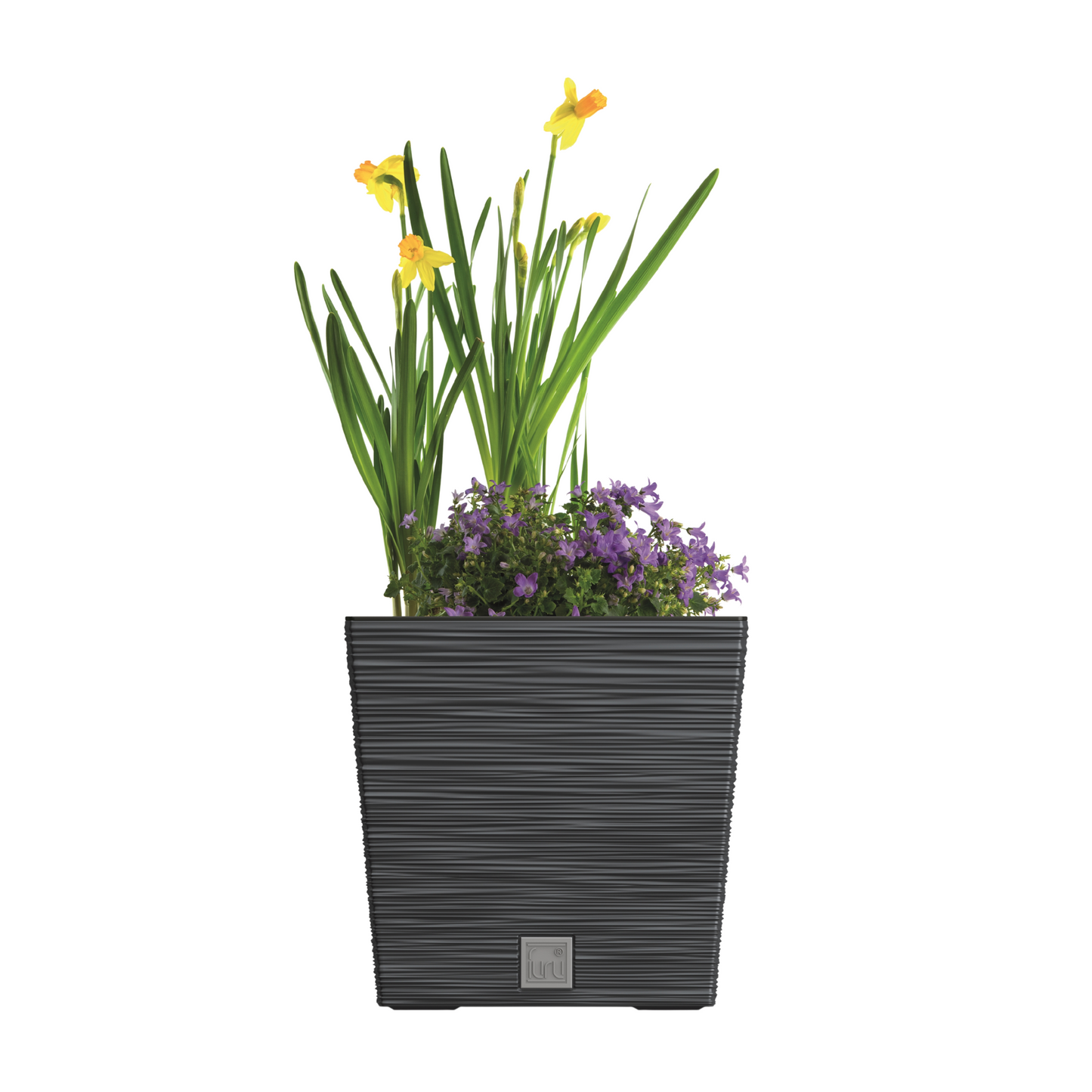 Furu Square Low Planter 240