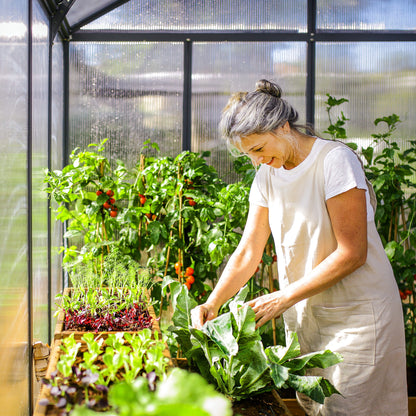 8' x 12' Premium Greenhouse - Grey Frame