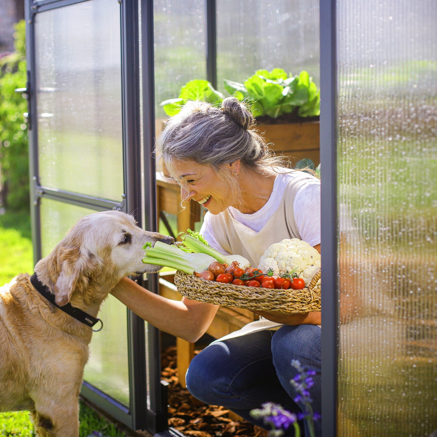 8' x 12' Premium Greenhouse - Grey Frame