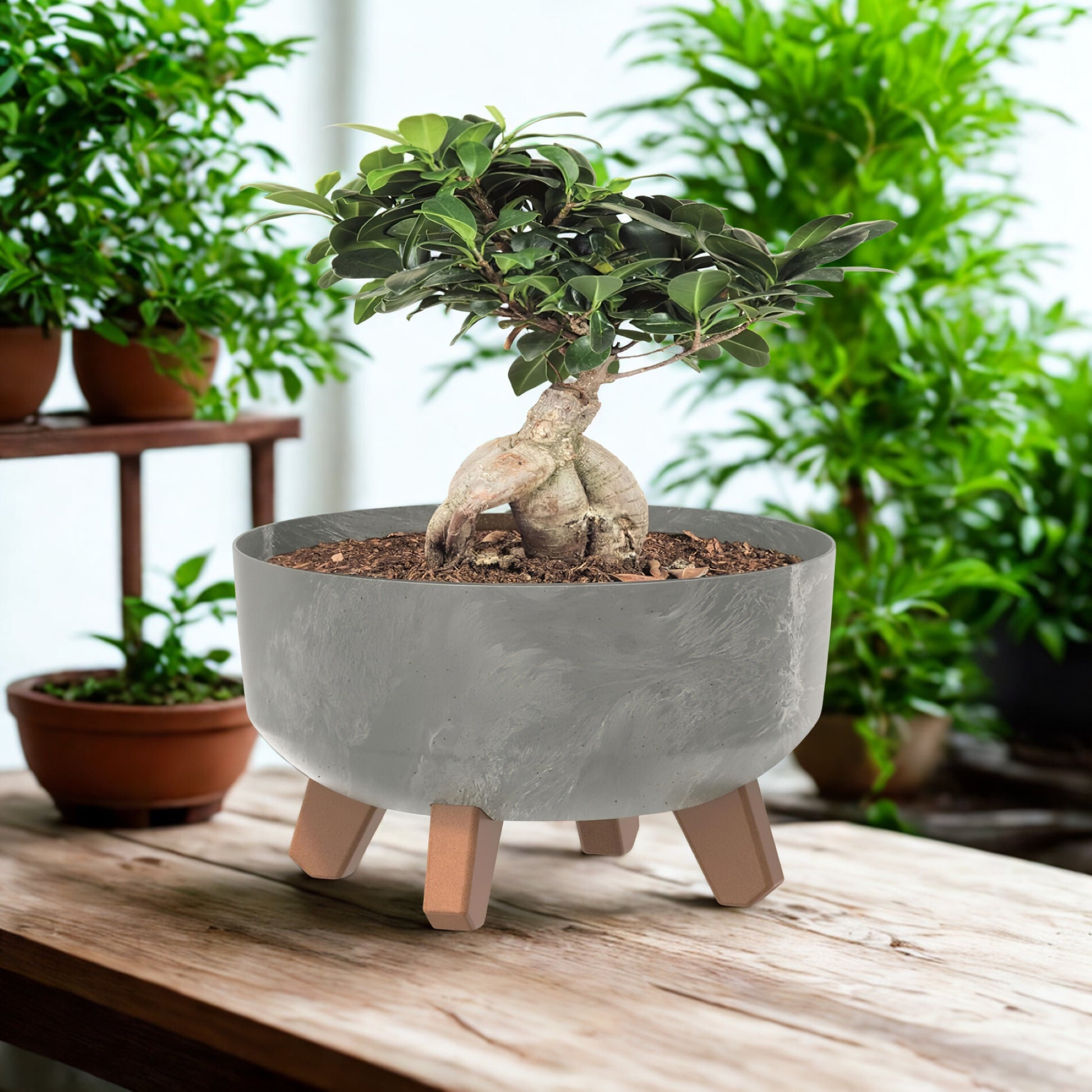 Gracia Low Planter - Beton Concrete - mazeproducts