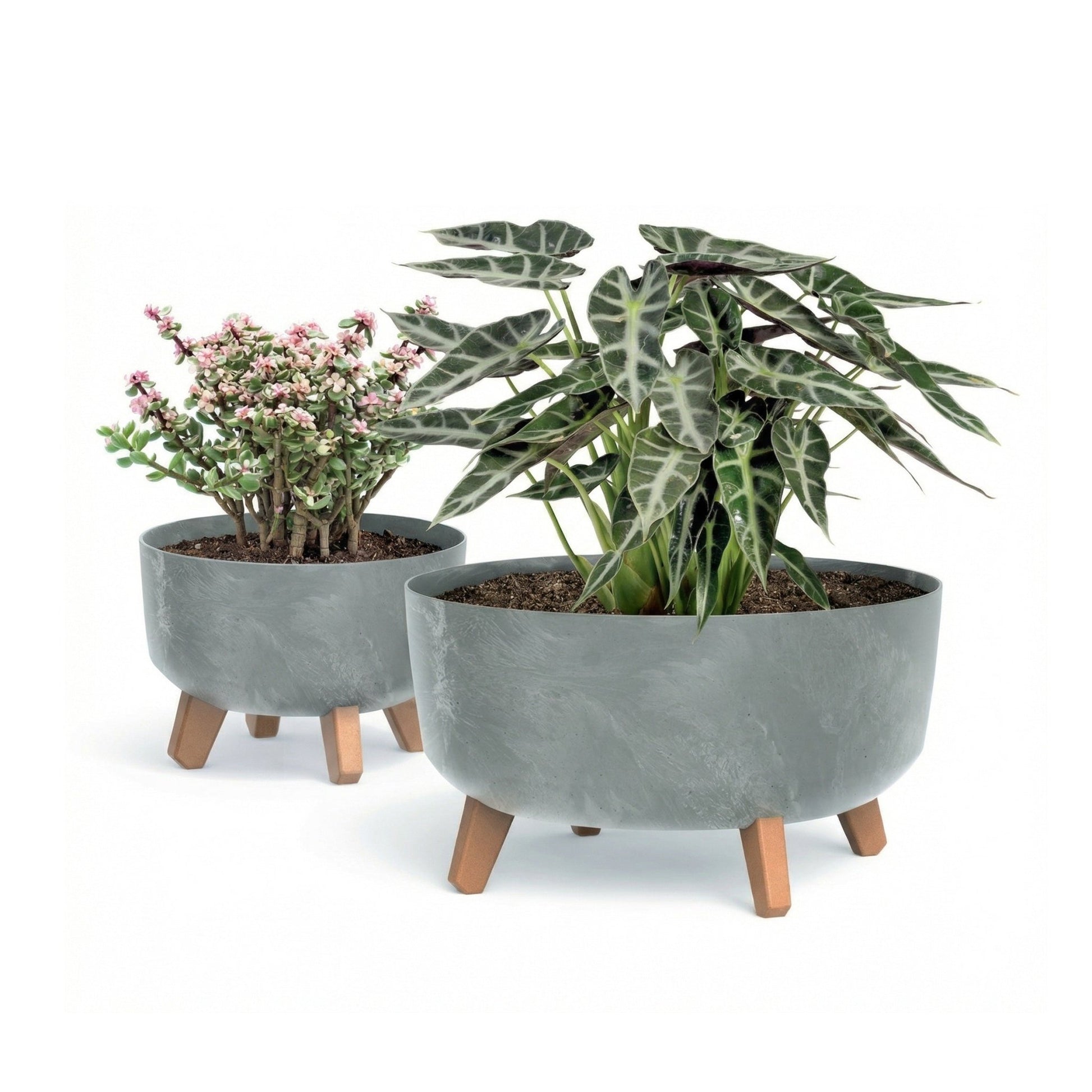 Gracia Low Planter - Beton Concrete - mazeproducts