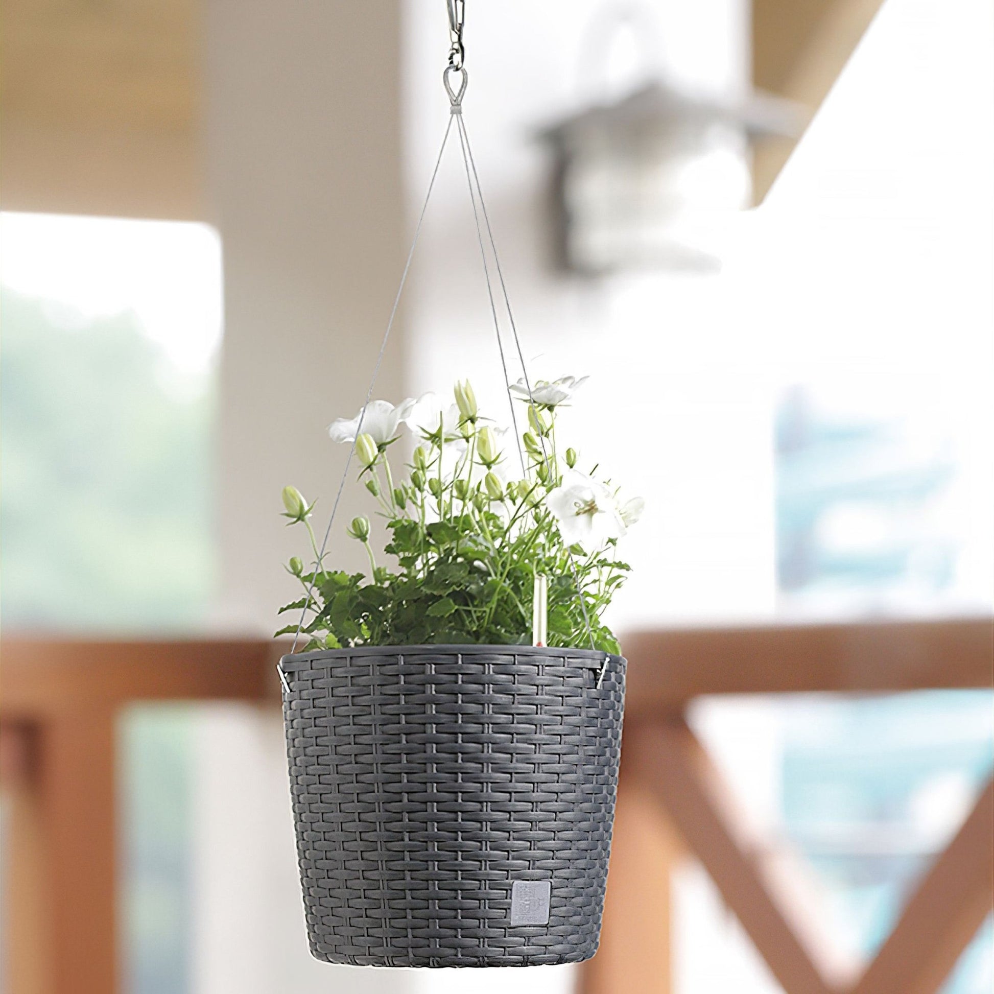 Hanging Planter Rato Round With Water Indicator - mazeproducts