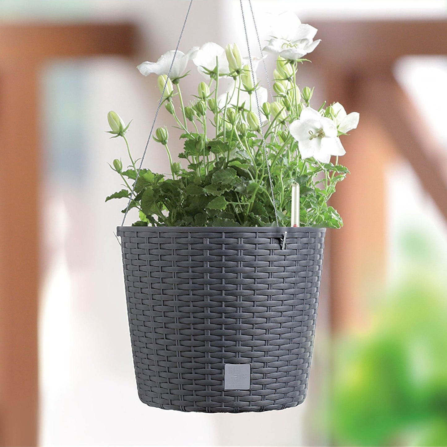 Hanging Planter Rato Round With Water Indicator - mazeproducts